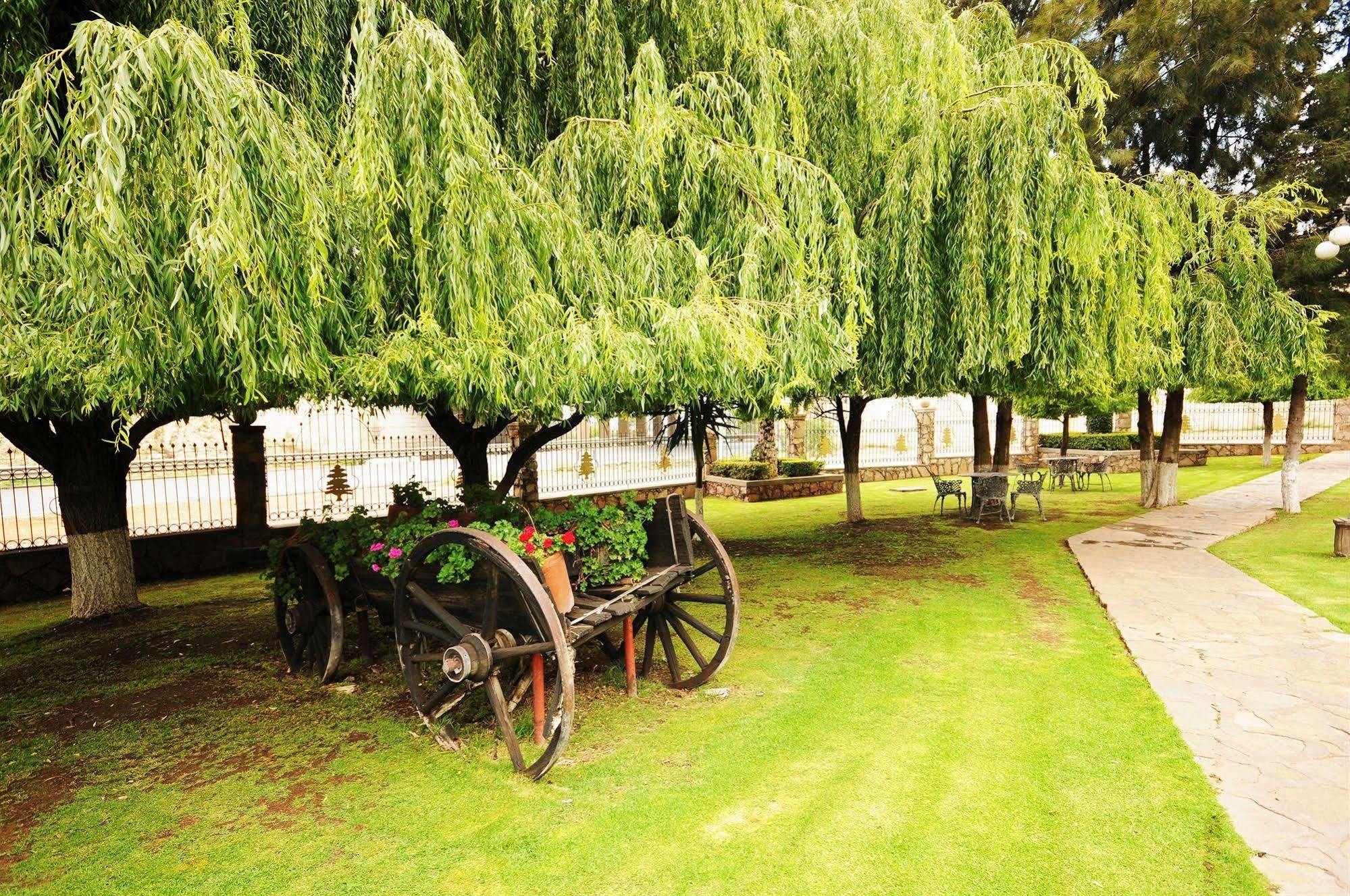 Hotel & Spa Hacienda Baruk Σακατέκας Εξωτερικό φωτογραφία